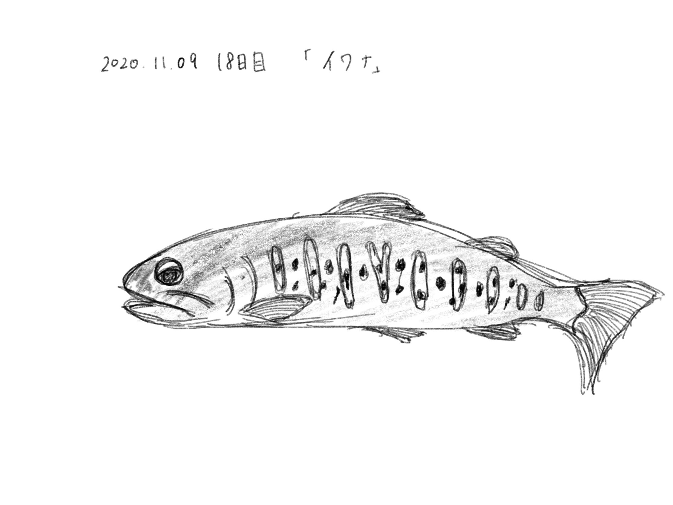 18日目 イラストや文字の練習を継続したら 独学の努力は実るかの研究と実験の記録 もしたなら もし してみたならの研究