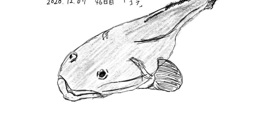 46日目 イラストや文字の練習を継続したら 独学の努力は実るかの研究と実験の記録 ブログ版 もしたなら もし してみたならの研究