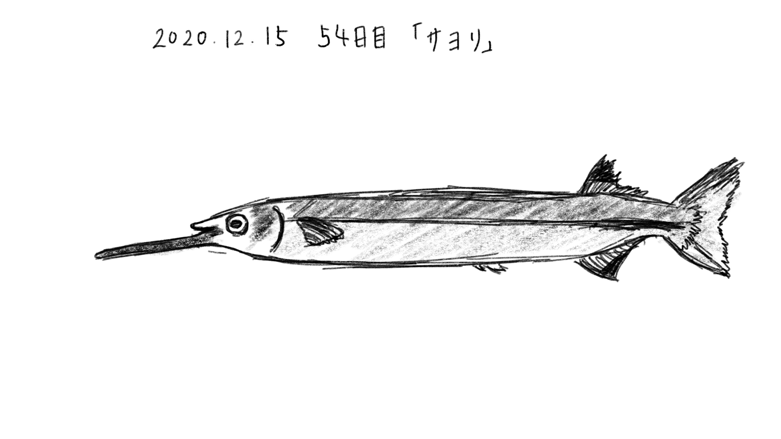 54日目 イラストや文字の練習を継続したら 独学の努力は実るかの研究と実験の記録 ブログ版 もしたなら もし してみたならの研究 54日目 イラストや文字の練習を継続したら 独学の努力は実るかの研究と実験の記録 ブログ版 もしたなら もし してみたならの研究