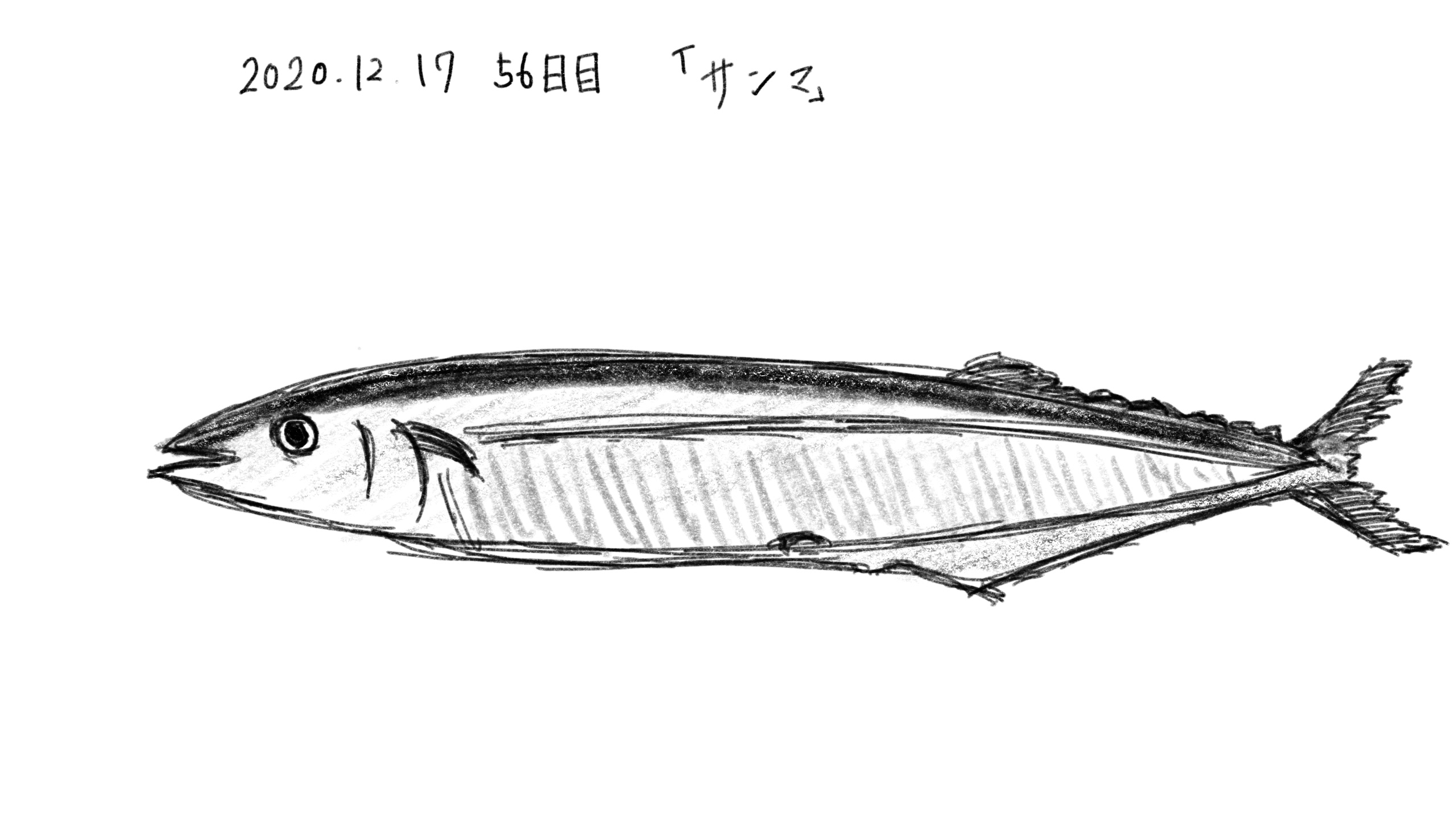 56日目 イラストや文字の練習を継続したら 独学の努力は実るかの研究と実験の記録 ブログ版 もしたなら もし してみたならの研究